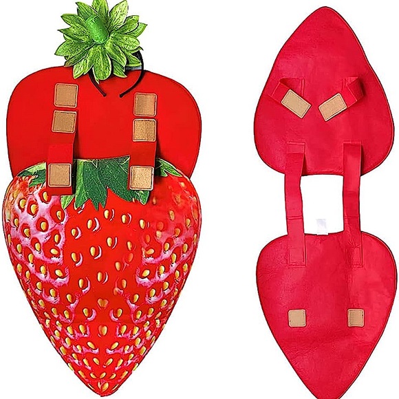 Strawberry Costume - Picture 2 of 4